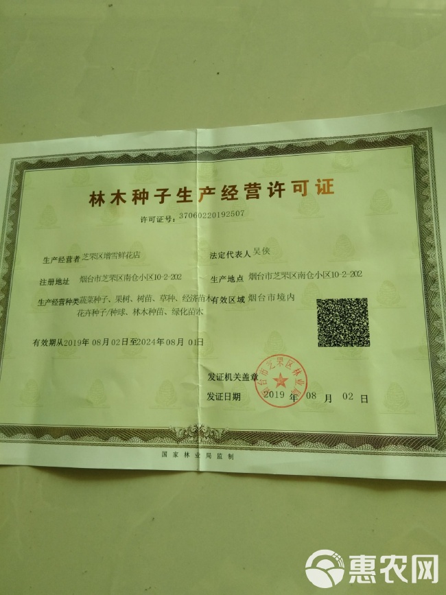 天人菊繁育与园林景观应用指南 - 耐寒宿根花卉的庭院绿化种植技术