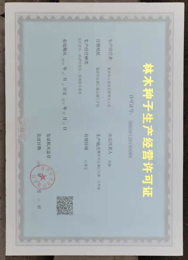 重庆华古苗木有限责任公司 林木种子生产的专业力量