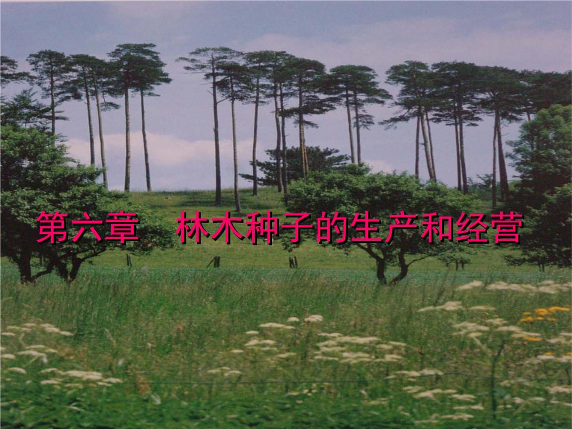 第六章 林木种子的生产和经营——林木种子生产